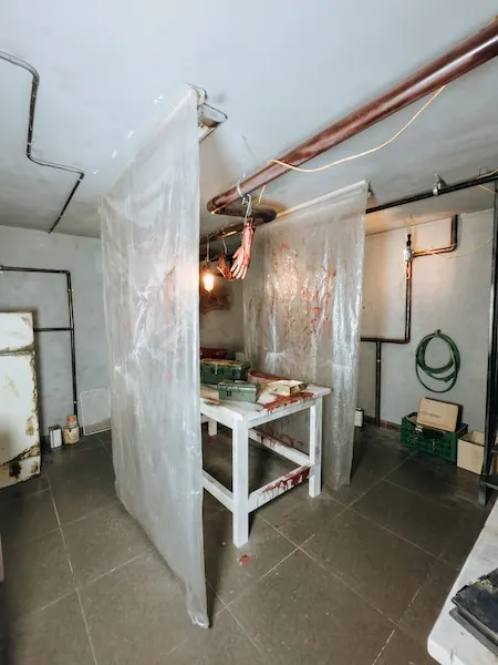 El asesinato de Elisa